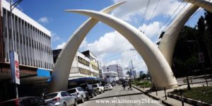 Mombasa Tusks